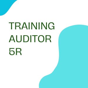 pelatihan auditor-5r online