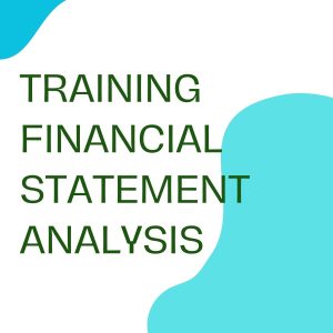 TRAINING FINANCIAL STATEMENT ANALYSIS pelatihan FINANCIAL STATEMENT ANALYSIS online