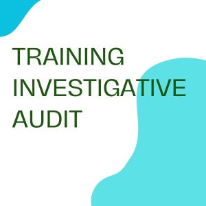 pelatihan INVESTIGATIVE AUDIT online