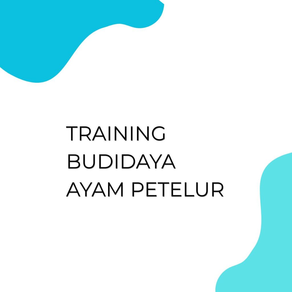 pelatihan BUDIDAYA AYAM PETELUR di jakarta