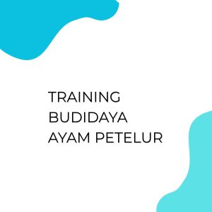 TRAINING BUDIDAYA AYAM PETELUR