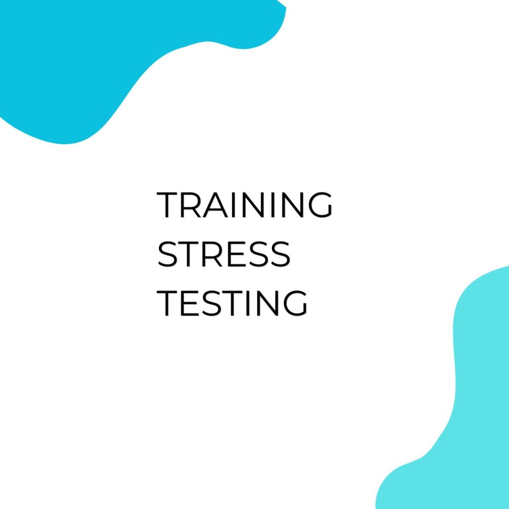 TRAINING STRESS TESTING pelatihan Stress testing di jakarta